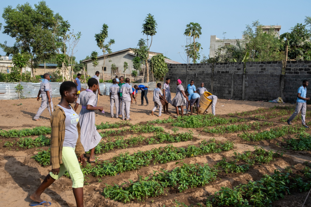 Training in agriculture and livestock – Volodalen